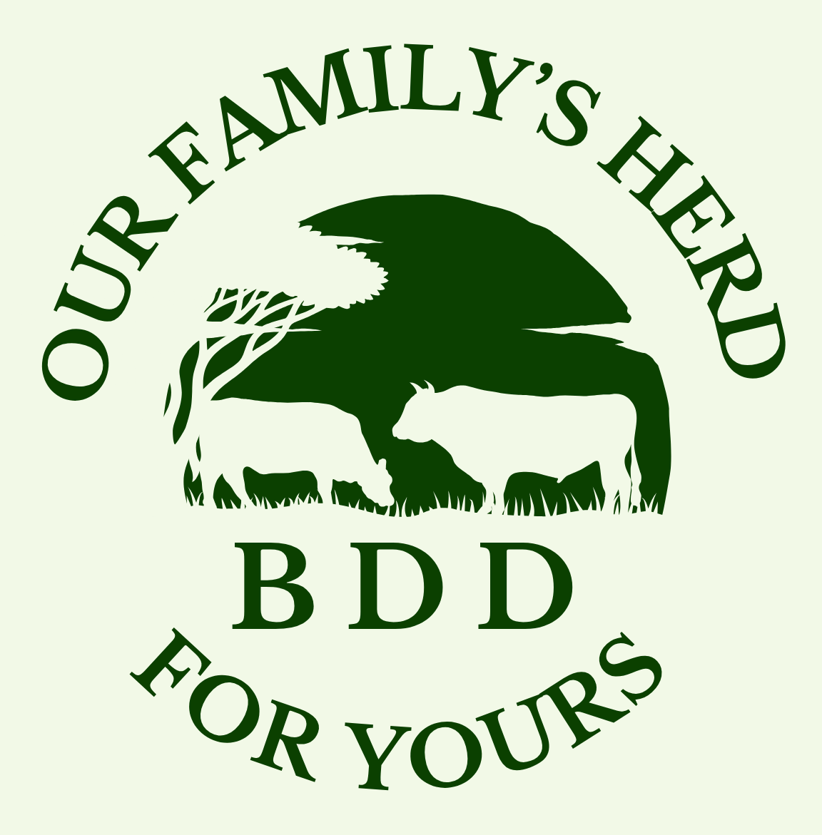 BDD Logo